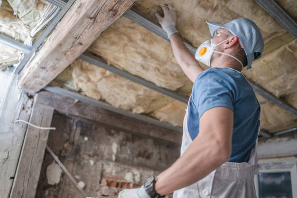 Trusted Blue Grass, IA Insulation Contractor Experts