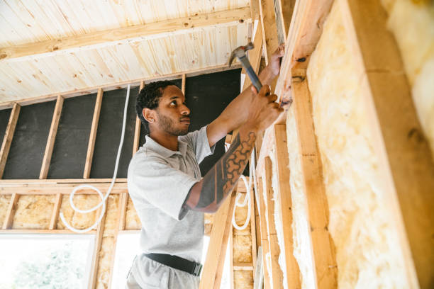Insulation Contractors for Homes in Blue Grass, IA